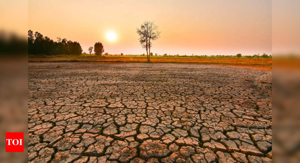 Climate Change: One in two El Nino events could be extreme by 2050, study finds | India News