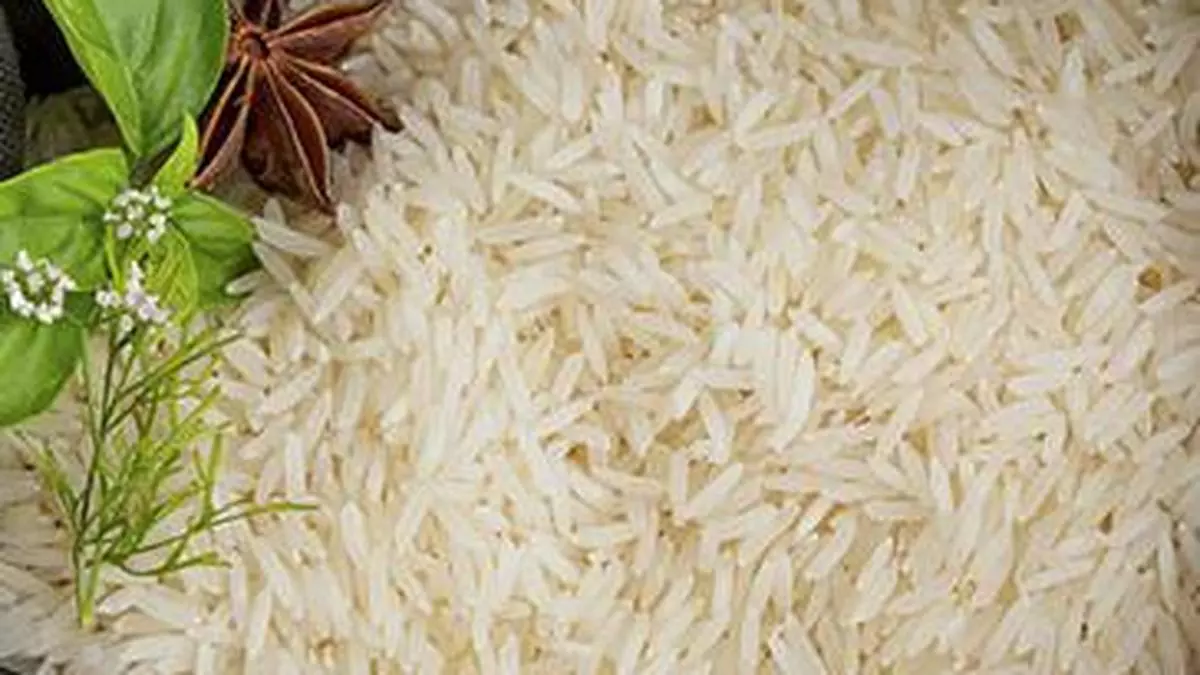 Pakistan: May lose out on getting GI tag for its basmati from EU