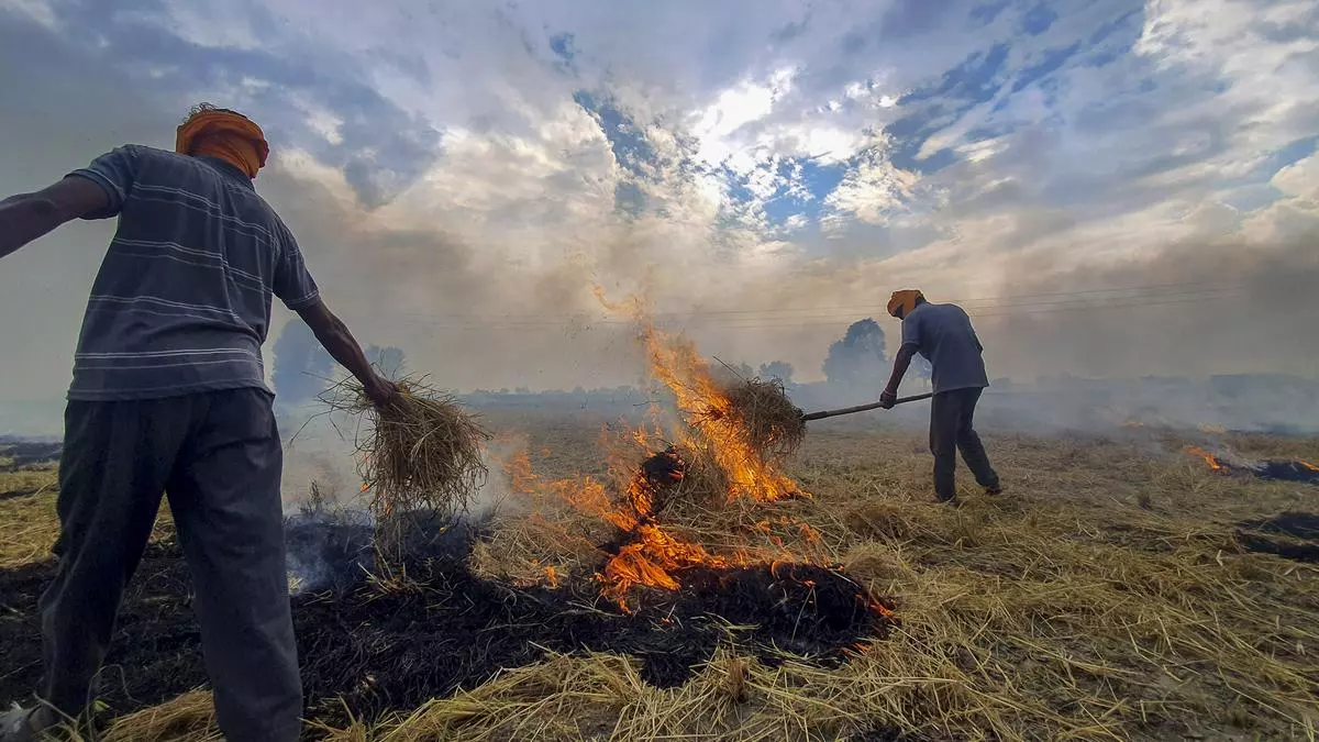 Officials to face prosecution for failing to enforce stubble burning regulations